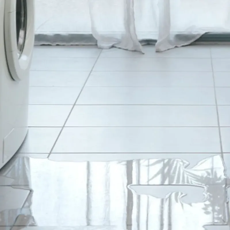 Appliance Leak Cleanup in Mont Belvieu, TX